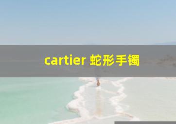 cartier 蛇形手镯